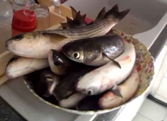 Οι Ντούο Χάλια Ψαρεύουν